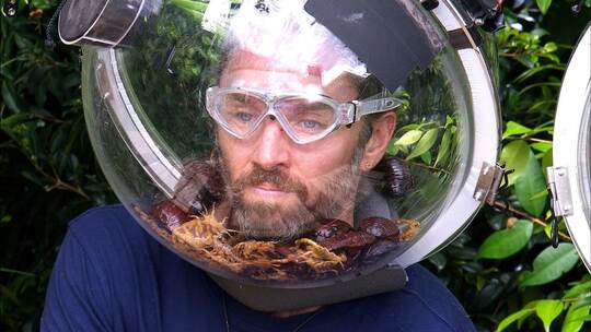 Ich bin ein Star - Holt mich hier raus! -Tag 17 Ich bin ein Star - Holt mich hier raus! -Tag 17