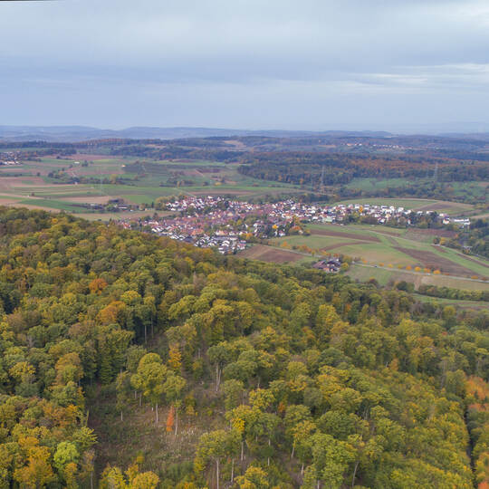Herbst in Ölbronner Bergen