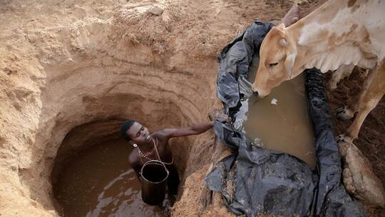 Klimawandel könnte Weideflächen verknappen