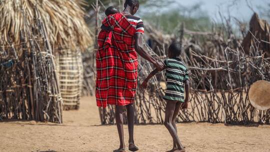Klimawandel könnte Weideflächen verknappen
