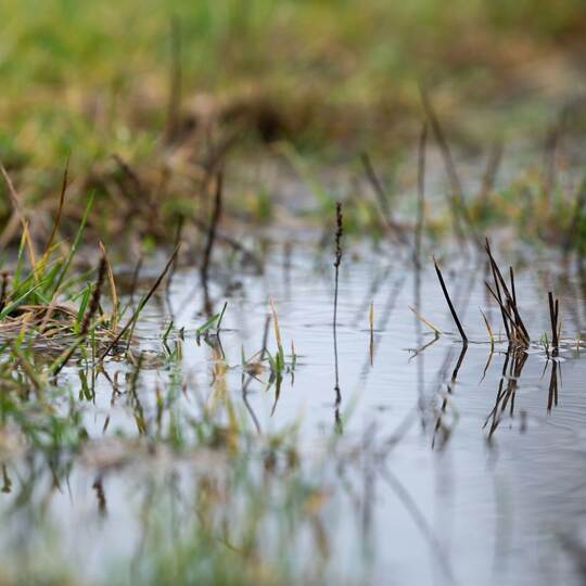 Regenwetter in Baden-Württemberg