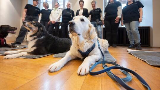 Vernehmungs-Begleithunde-Team