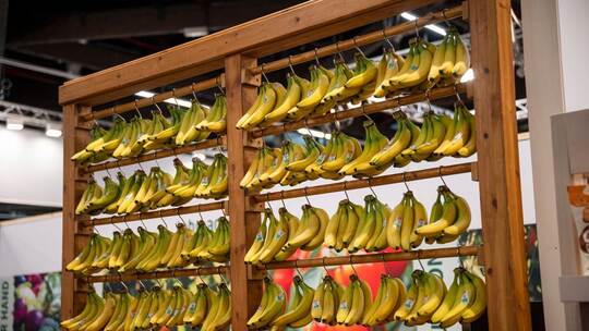 Start der Messe Biofach