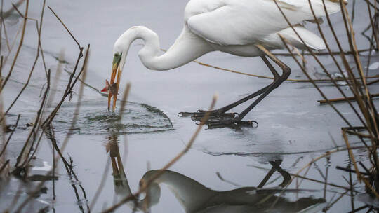Wetter in Baden-Württemberg