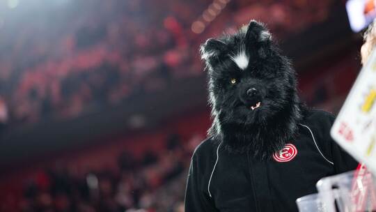 Fortuna Düsseldorf - Preußen Münster Fortuna Düsseldorf - Preußen Münster