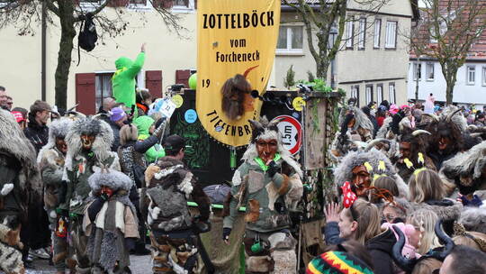 Neun Masken- und Zunftgruppen sind unter dem Dach des Carnevalvereins orgnisisert – darunter auch die Zottelböck. sabine ries