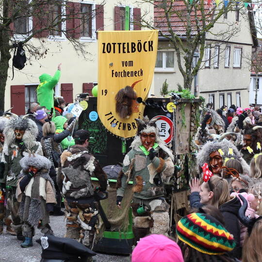 Neun Masken- und Zunftgruppen sind unter dem Dach des Carnevalvereins orgnisisert – darunter auch die Zottelböck. sabine ries