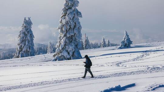 Spaziergänger auf dem Feldberg Spaziergänger auf dem Feldberg