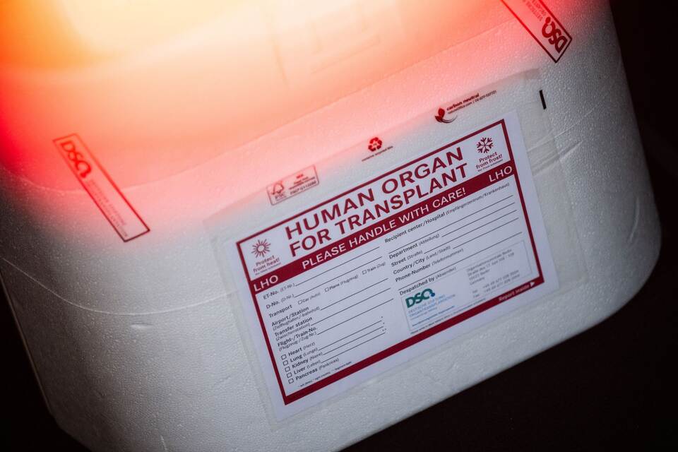 Illustration - Organspende Illustration - Organspende