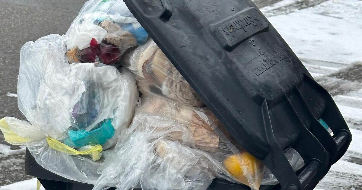 Not emptied for weeks: Family from Neulingen doubts - | is the fault ours?