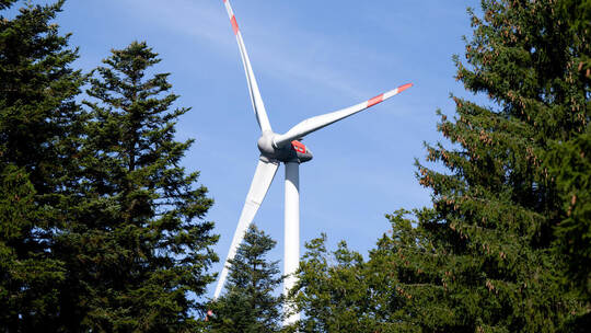 Pilotprojekt zur Begrünung von Windenergiestandorten