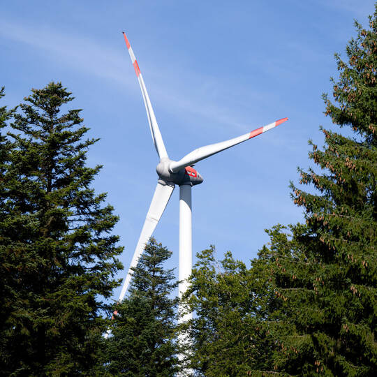 Pilotprojekt zur Begrünung von Windenergiestandorten