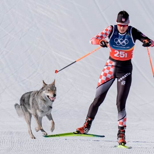 Olympische Winterspiele 2026