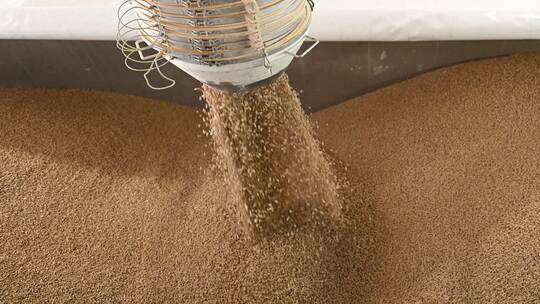 Vom Baum zum Holzpellet