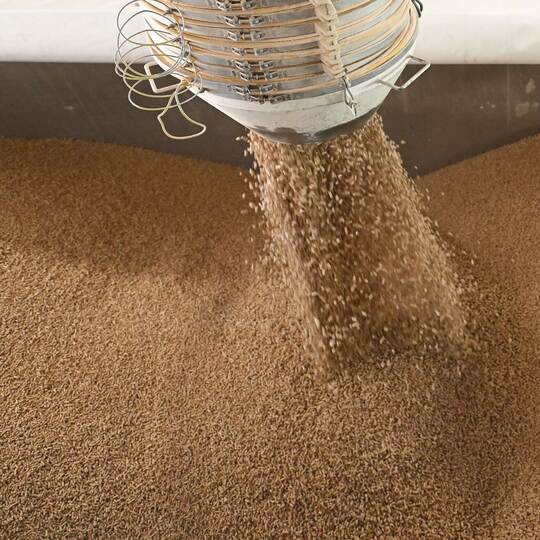 Vom Baum zum Holzpellet