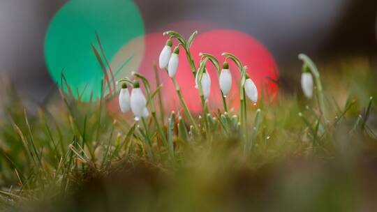 Wetter in Baden-Württemberg