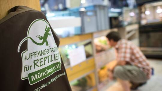 Reptilienstation München