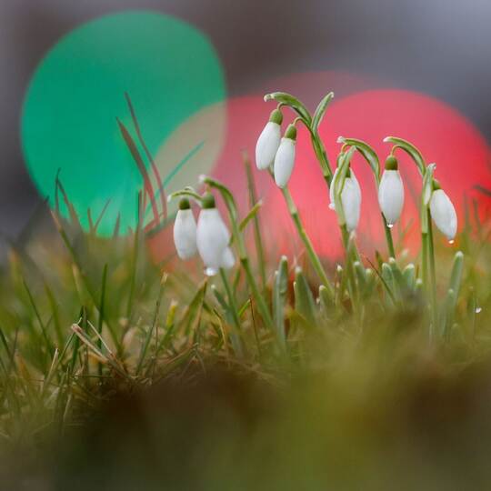 Wetter in Baden-Württemberg