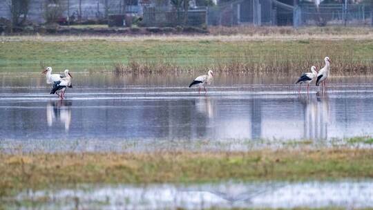 Hochwasser in Bayern