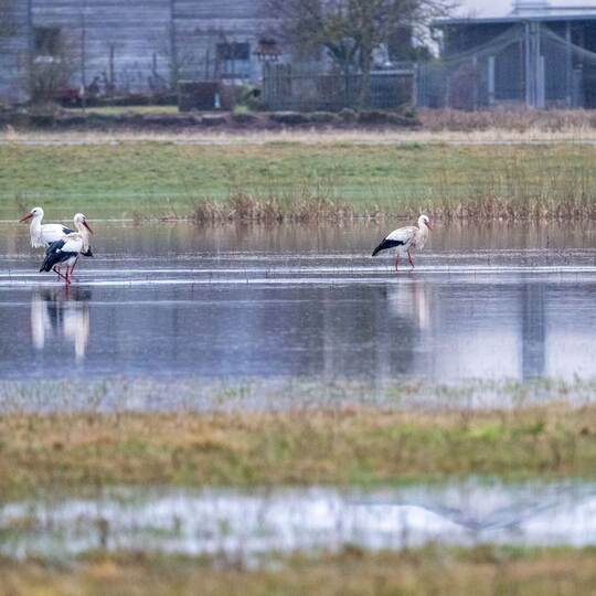 Hochwasser in Bayern