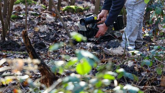 Polizeieinsatz in Waldstück - Fund einer Frauenleiche