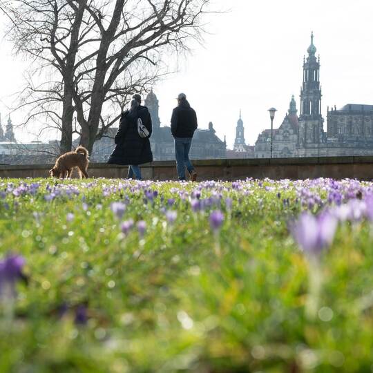 Frühling in Sachsen