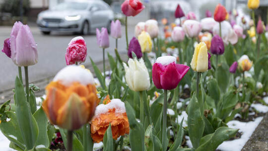 Schnee in Dobel April