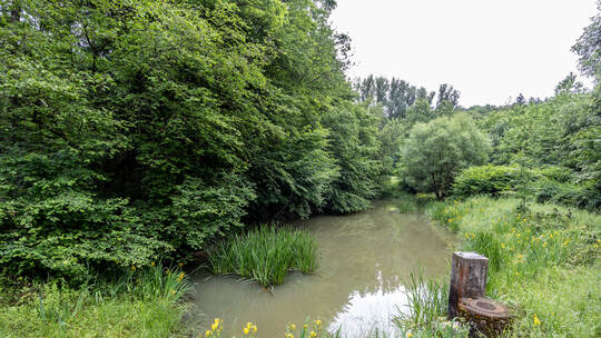 möglicher Fundort Leiche Ranntal