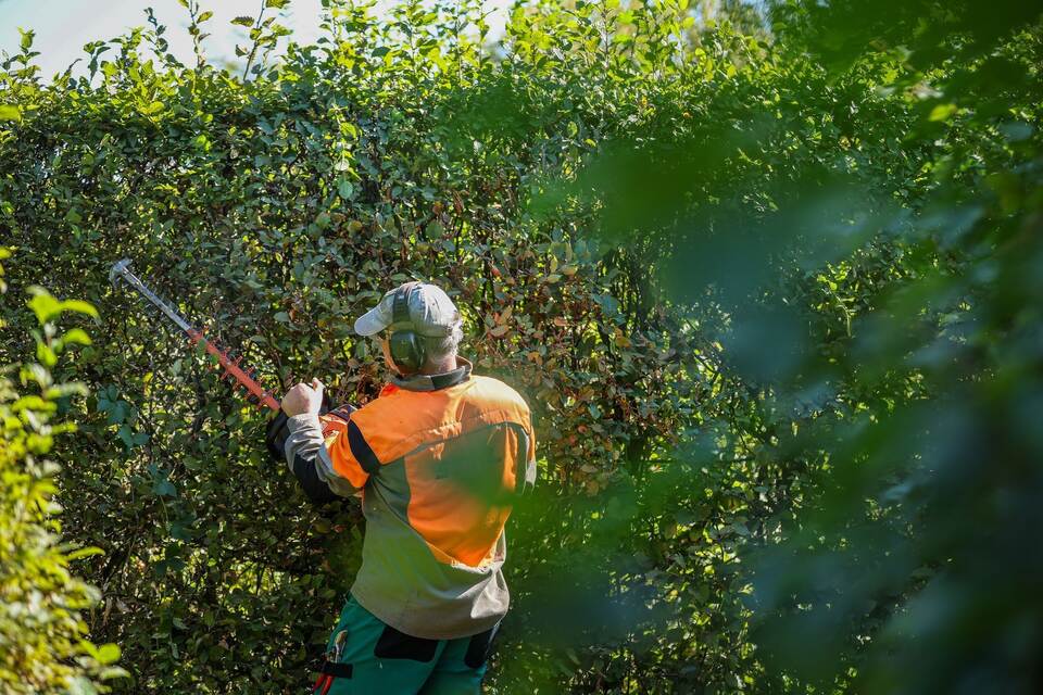 Schufa, Wahlen, Sommerzeit – das ändert sich im März