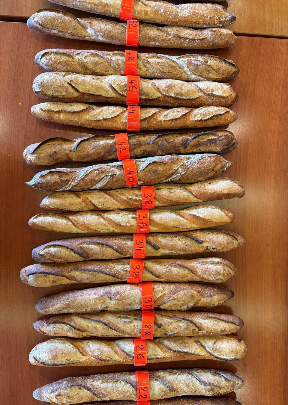 Baguette-Wettstreit in Paris - Sieger backt für den Élysée Baguette-Wettstreit in Paris - Sieger backt für den Élysée