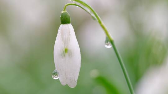 Wetter in Baden-Württemberg