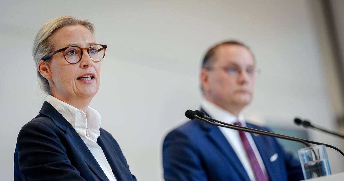 Keine Beschwerde gegen AfD-Entscheidung im Eilverfahren - Politik - Pforzheimer-Zeitung