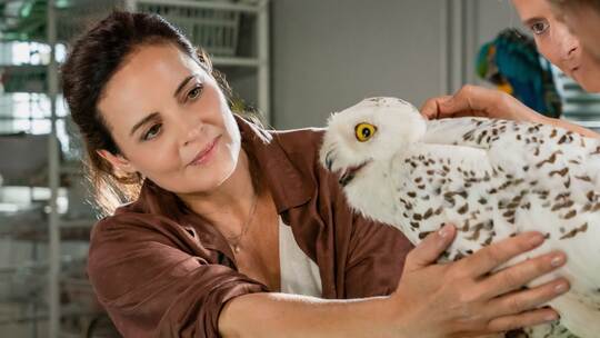 TV Ausblick - ARD - "Tierärztin Dr. Mertens"