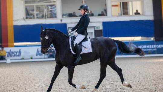 Pforzheimer Reiterverein Dressourprüfung