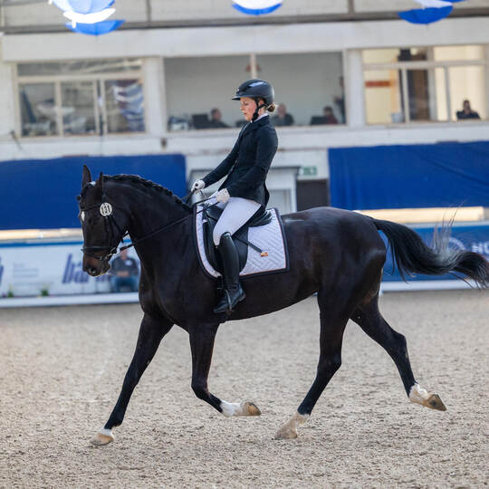 Pforzheimer Reiterverein Dressourprüfung