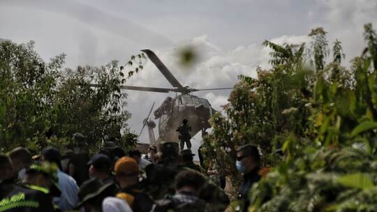 Koka-Anbau in Kolumbien