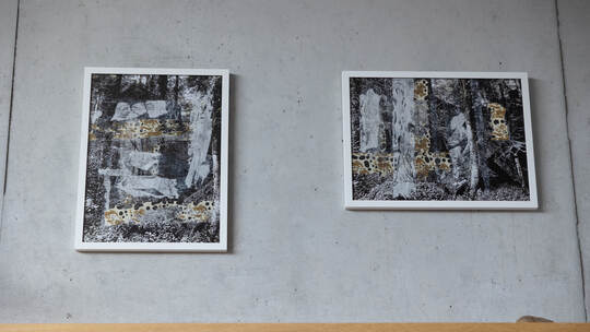 Ausstellung lost and found Evelyn Taylor-Kopp