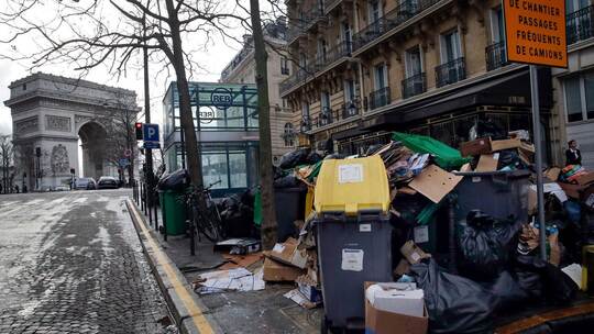 Wahlkampf in Paris - Millionen Ratten sorgen für Streit