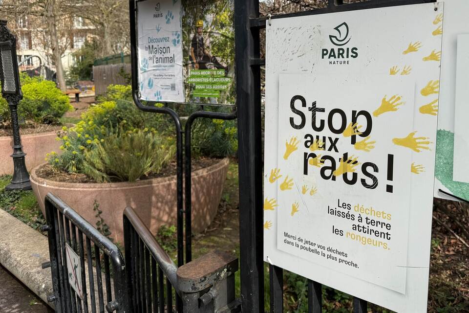 Wahlkampf in Paris - Millionen Ratten sorgen für Streit