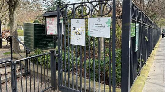 Wahlkampf in Paris - Millionen Ratten sorgen für Streit