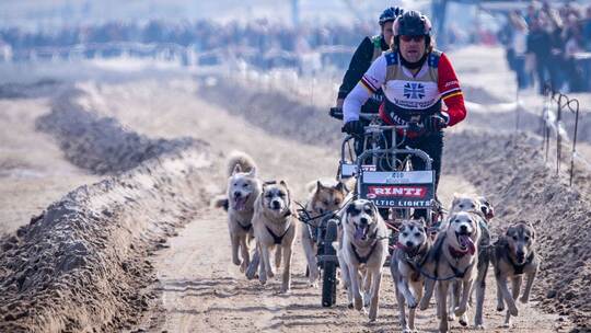 Charity-Schlittenhunde-Event "Baltic Lights"