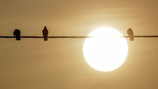 Saharastaub - trübe Sonne am grauen Himmel