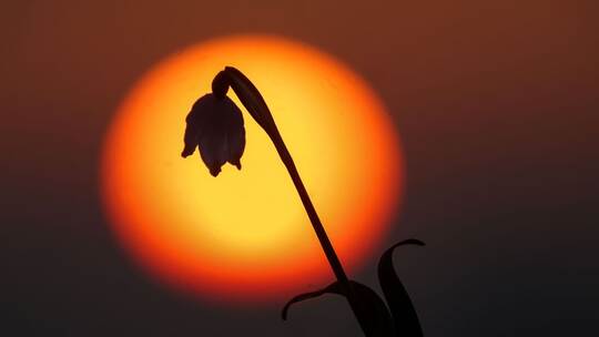Sonnenaufgang in Baden-Württemberg