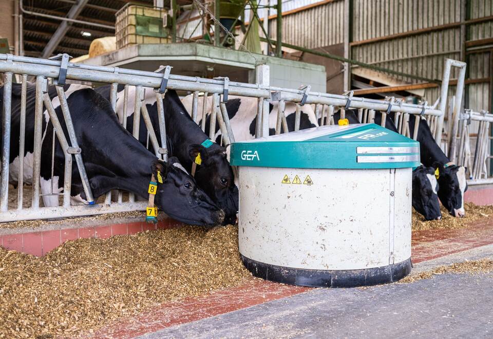 Fütterungsroboter von Gea