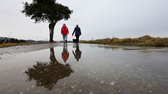 Frühling in Baden-Württemberg