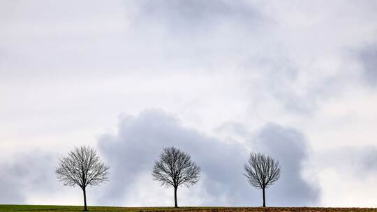 Wetter in Baden-Württemberg Wetter in Baden-Württemberg