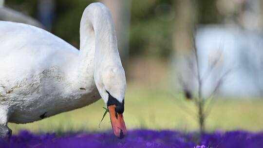 Wetter in Baden-Württemberg Wetter in Baden-Württemberg