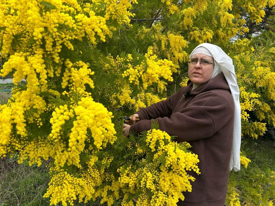 Rebellische Nonnen werden in Spanien aus Kloster vertrieben