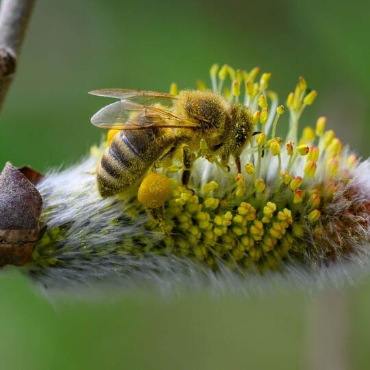 Frühling in Brandenburg