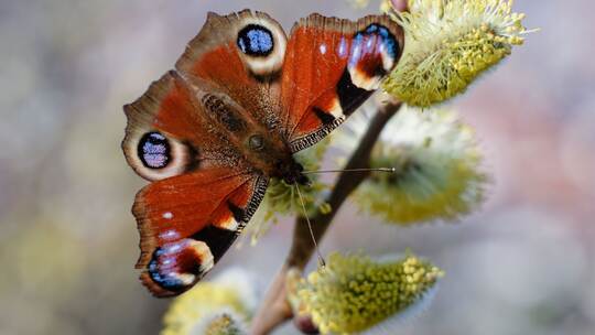 Wetter in Baden-Württemberg Wetter in Baden-Württemberg